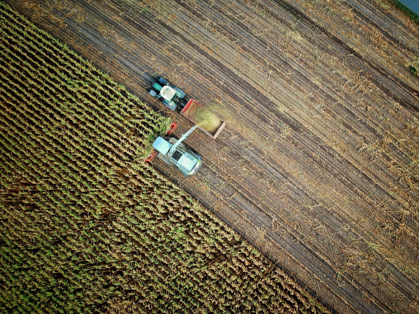 How Smart Sensors are Revolutionizing Agriculture