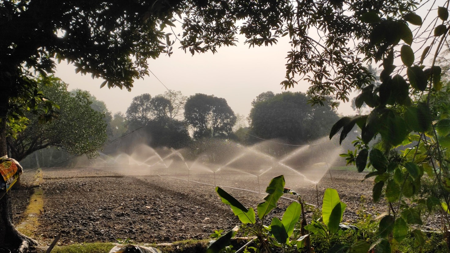 Maximizing Yield with Advanced Agricultural Technologies