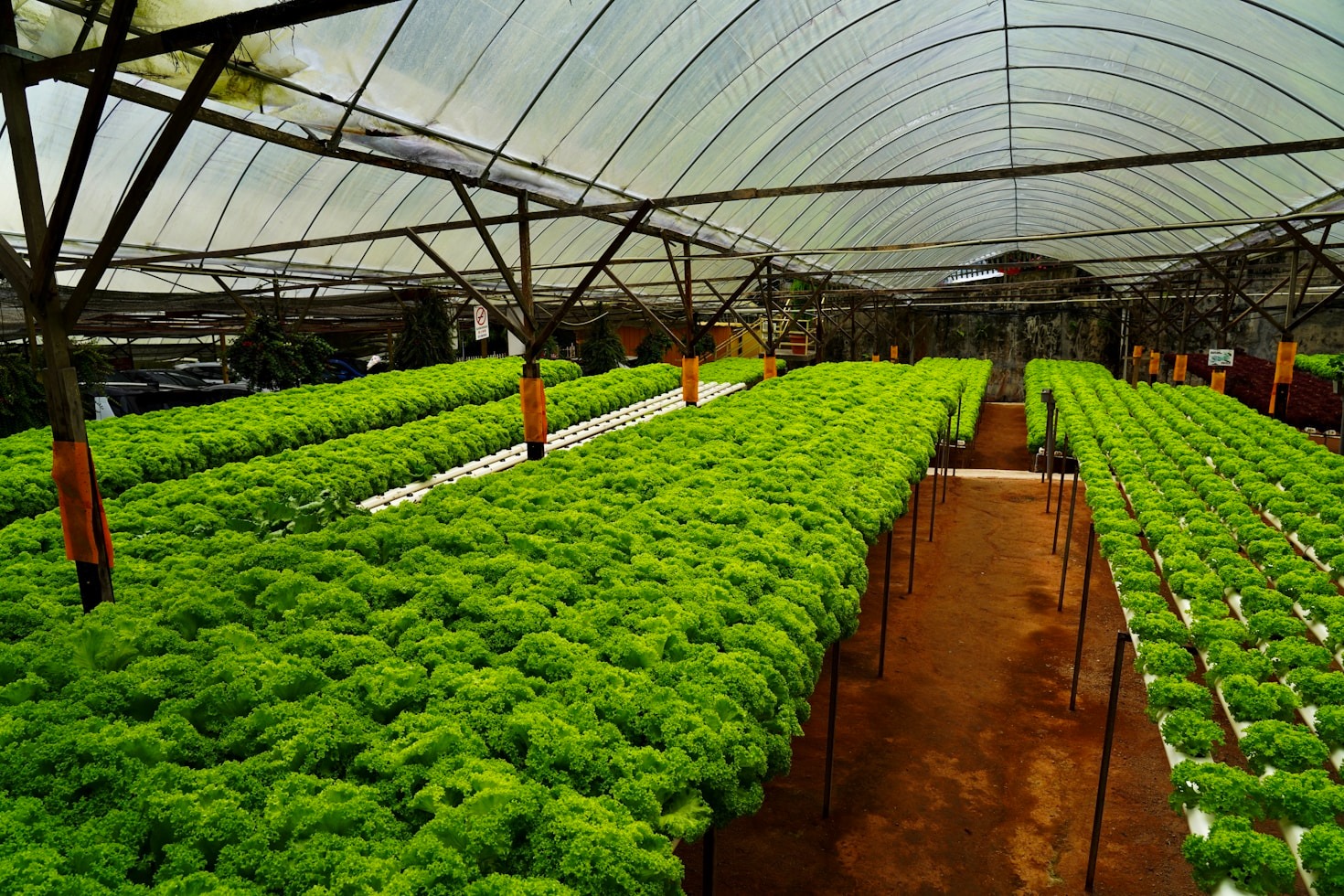 Data-Driven Farming: Insights and Benefits